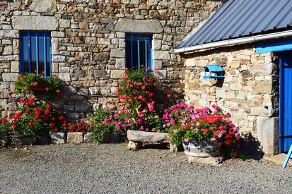 Coin des g�raniums